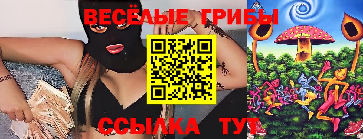 Галлюциногенные грибы Cubensis Тихорецк