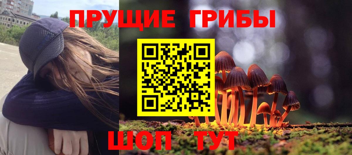 Галлюциногенные грибы мухоморы  Вход с VPN  Тихорецк  Псилоцибиновые грибы GOLDEN TEACHER 